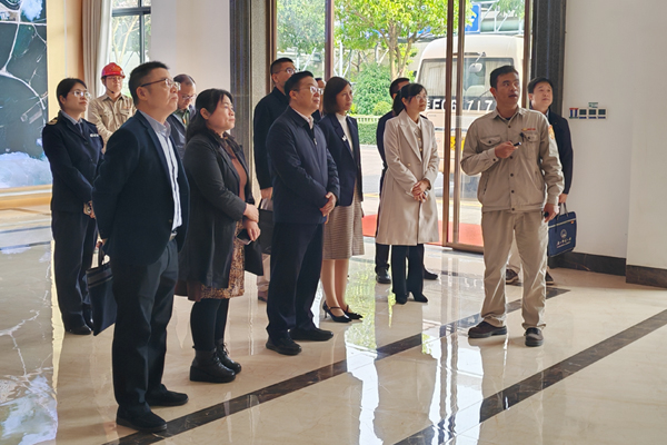 凌盛南一行在广西南国铜业有限责任公司交流。韦致锋摄